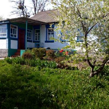 Продається будинок в с.Петропавлівка, Черкаська обл.