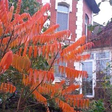 Продаж домоволодіння в Бортничах, Дарницький район, Київ