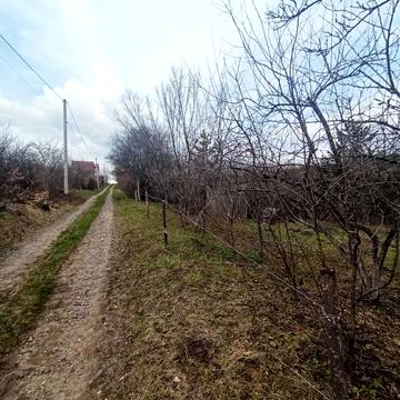 ранкові зорі