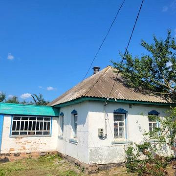 продам будинок з виходом до водойми с. Поділ, Чернігівська областт