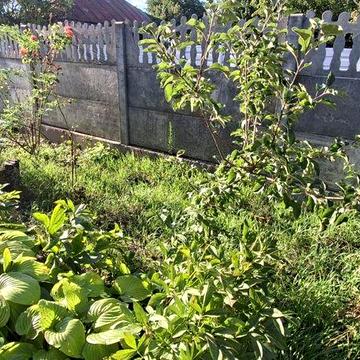 Будинок в Крюкові