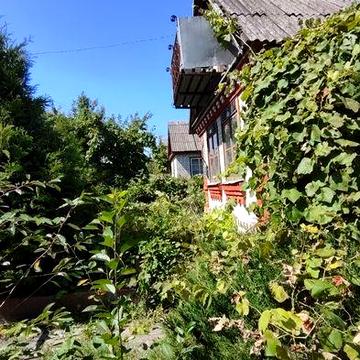 Продаж дачі в Новогуйвинську