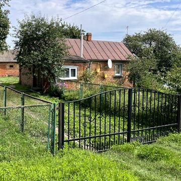 Шкільна