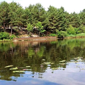 Хотянівка, Вишгородський, Київська область 270000.0 USD