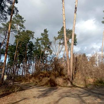 Стадіон Чемпіон, Ірпінь, Бучанський, Київська область 270000.0 USD