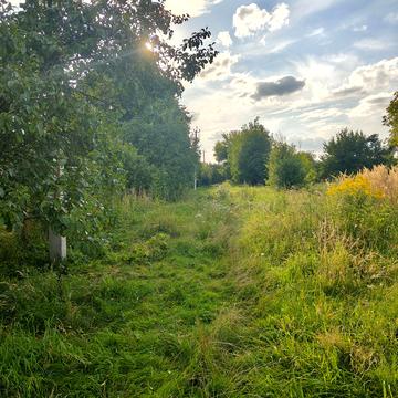 Дмитровичі, Львівський, Львівська область 19900.0 USD