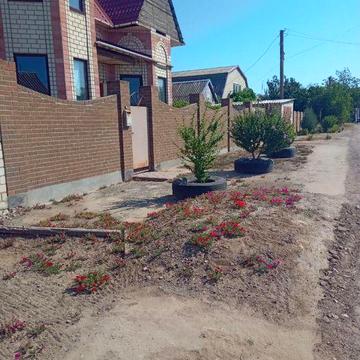 Продам дом в лиманах / Лиманы / Лимани