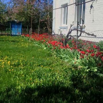 Продам будинок в с. Подібна, Черкаської обл.