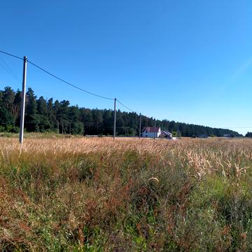 Лютіж, Вишгородський, Київська область 58000.0 USD