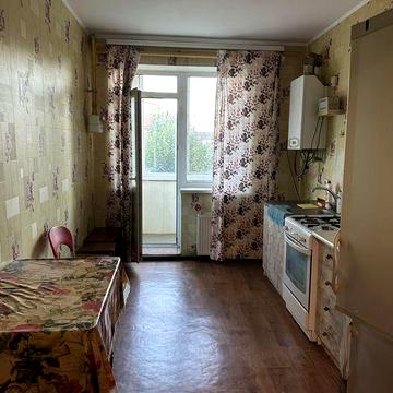 Сдам в оренду 1 комнатную квартиру в с Новые Петровцы