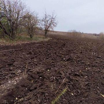 Земельна ділянка в селі Сушківка