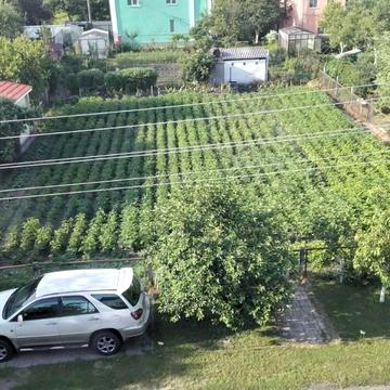 Літочки, Броварський, Київська область 5500.0 USD