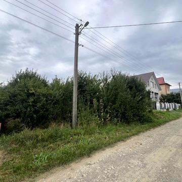 Польова