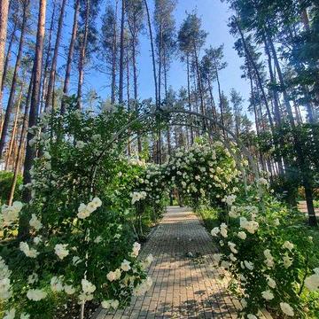 2-кімнатна з виходом у парк — ЖК «SOBORNYI». Розтермінування без %! ЖК Sobornyi