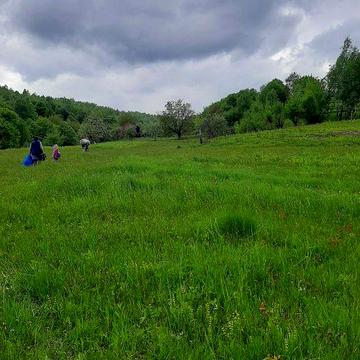 Продам будинок із зем.ділянкою біля Красії