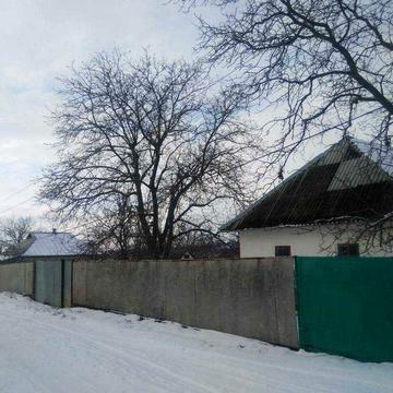 Продам будинок місто Бершадь