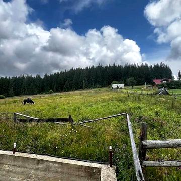 Поляниця, Надвірнянський, Івано-Франківська область 81000.0 USD