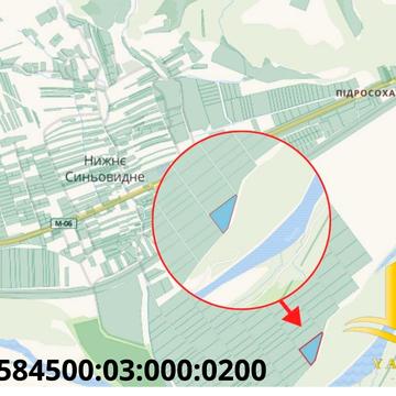 Нижнє Синьовидне, Стрийський, Львівська область 30000.0 USD