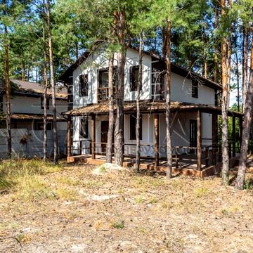 Бориспільський район