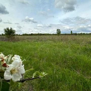 Гостомель, Бучанський, Київська область 23000.0 USD