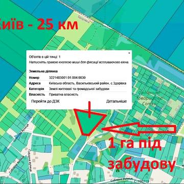 Соборна вул. (Щорса)