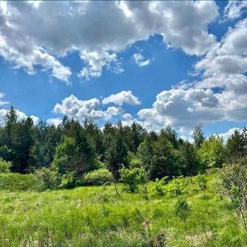 Мотижин, Бучанський, Київська область 60000.0 USD