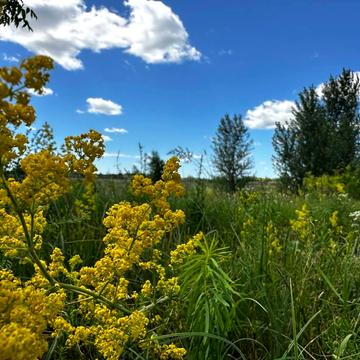 Гостомель, Бучанський, Київська область 150000.0 USD
