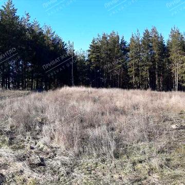 Будинок у сосновому лісі! Ватажково.