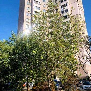 3-ком квартира 94м2, Деснянский р-н, Троещина SAV