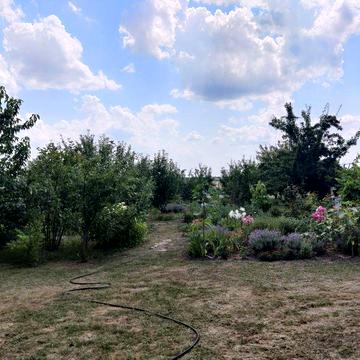 Продаж Будинку с.Трушки Київської області Білоцерківського району