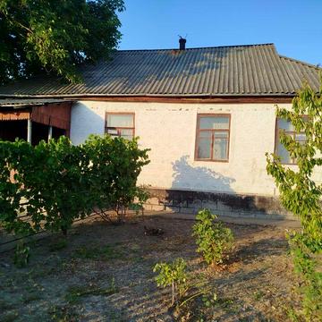 Продається будинок із великим подвір’ям