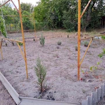 Продам дачу , собственник , недорого