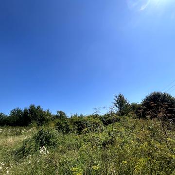 Лупана вул.