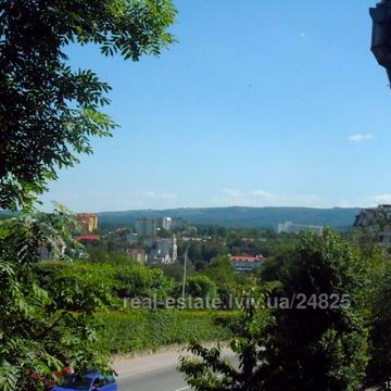Дрогобицька вул., 29