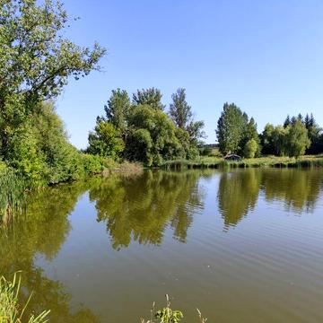 Дача с.Романівка