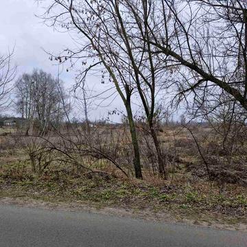 Дніпровська