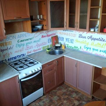 Аренда квартиры можно с животным