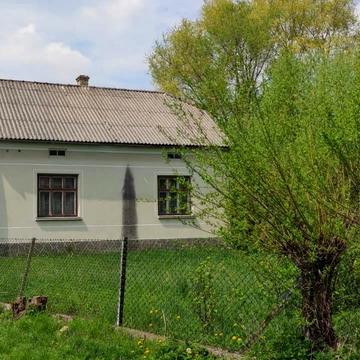 Зелена, 16