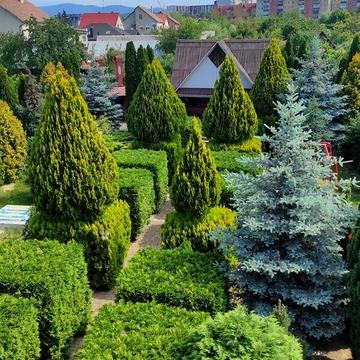Довгострокова оренда 6к Дім Капушанська (Перемоги) вулиця