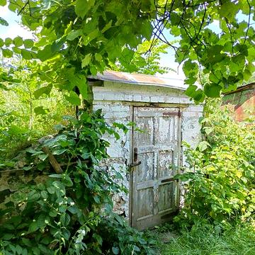 Будинок з земельною ділянкою