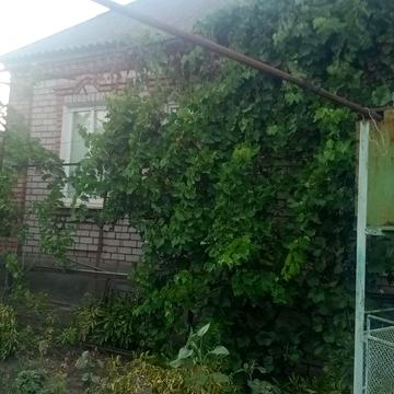 Продаю дом в центре