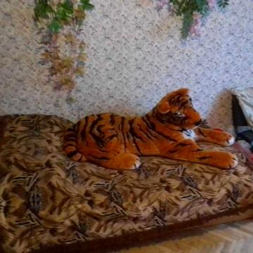 Сдается 1 ком квартира,проспект Леся Курбаса 2/13,Борщаговка.