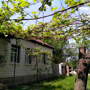 Без % продаж будинку с Нічогівка Козелецький р-н 36 соток Чернігівська