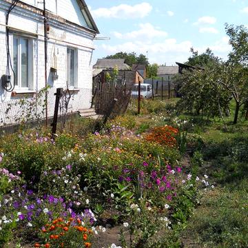 Трикімнатну квартиру в с. Веселе, Дніпропетровська область