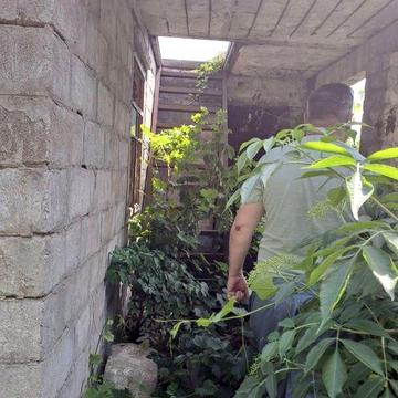 Продам дачу в СО Лісна Поляна" в Селі Радісне