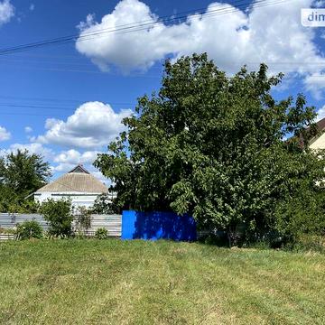 Продаж 1к Дім вулиця Центральна