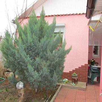 Здам однокімнатний будинок