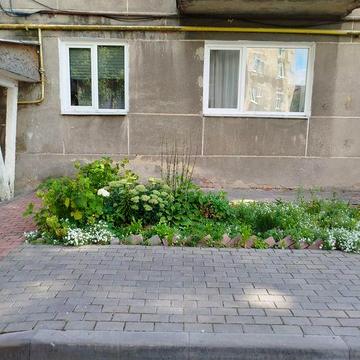 Здам в оренду 2х кімнатну квартиру