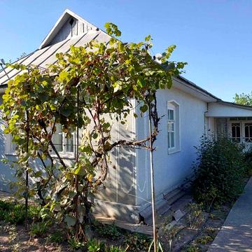 Продам Будинок в с.Балки по вул.Гагаріна 7 (біля міста БАР).