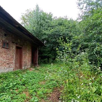 Вовчищовичі, 11